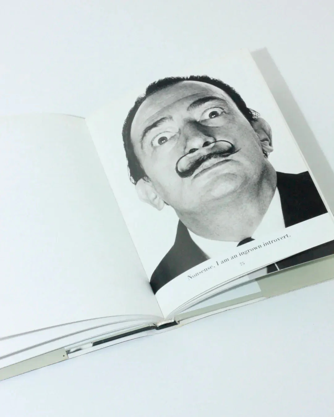 Dali's Mustache - Image 5
