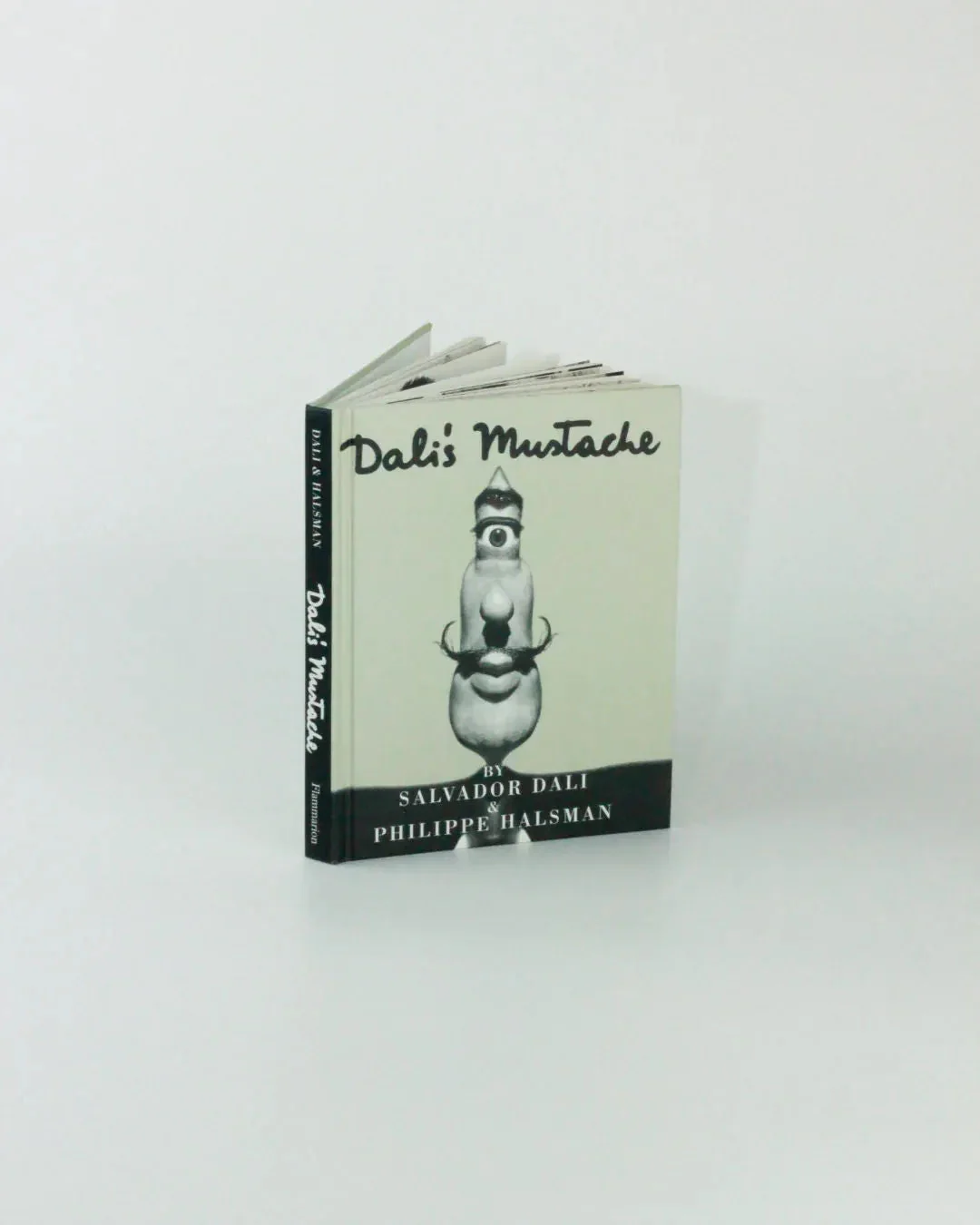 Dali's Mustache - Image 7