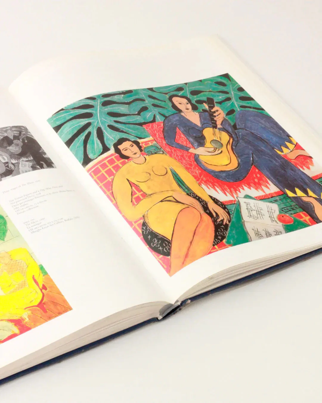 Henri Matisse Vintage Book -  Illustrated Publication - Image 3