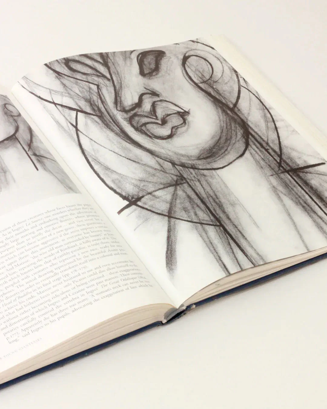 Henri Matisse Vintage Book -  Illustrated Publication - Image 4