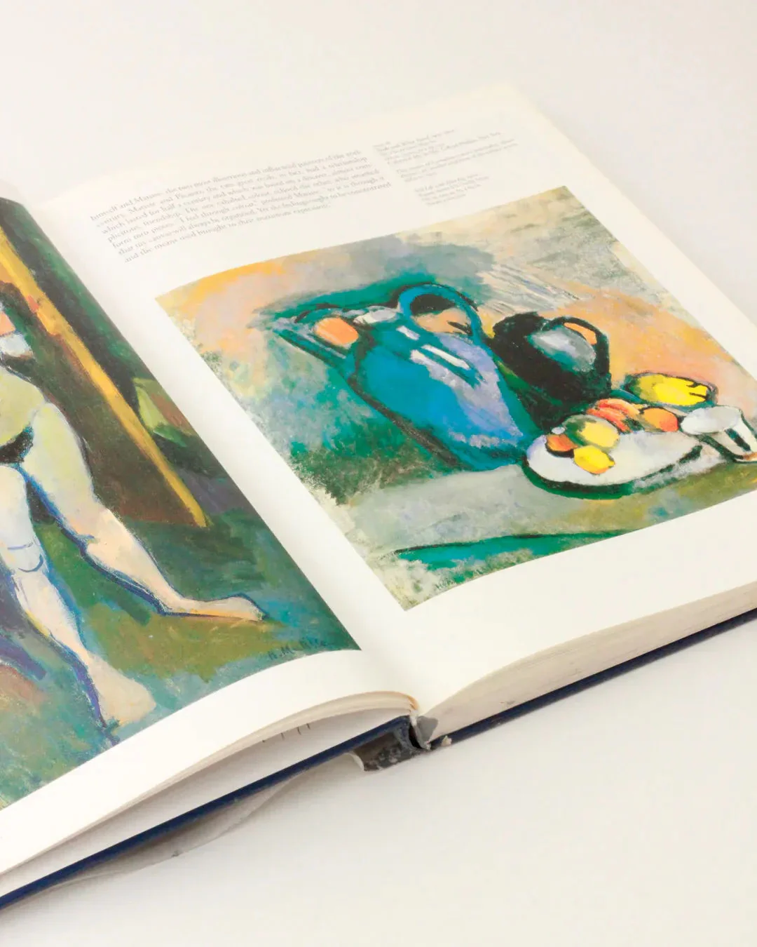 Henri Matisse Vintage Book -  Illustrated Publication - Image 7