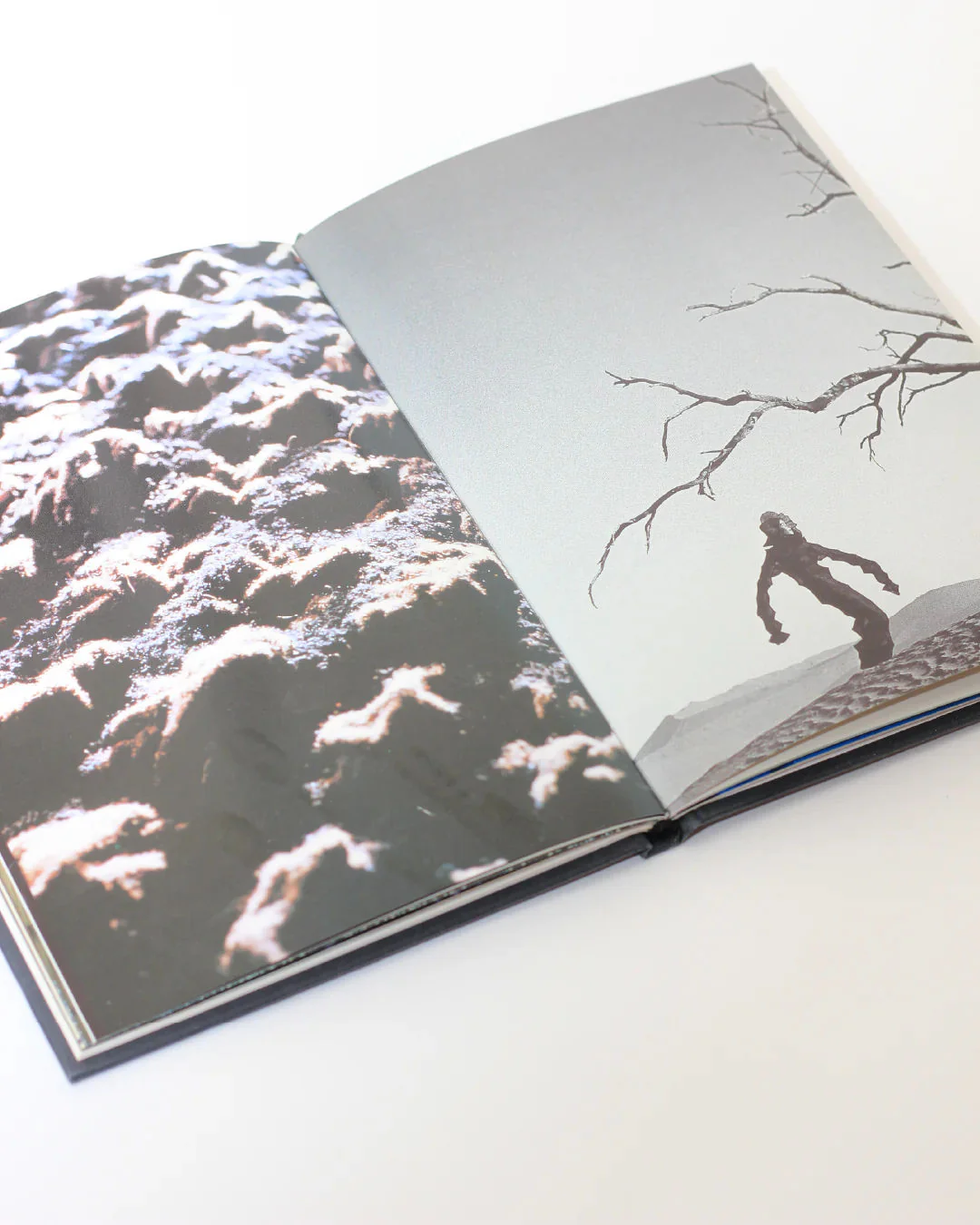 Issey Miyake Book - Image 5