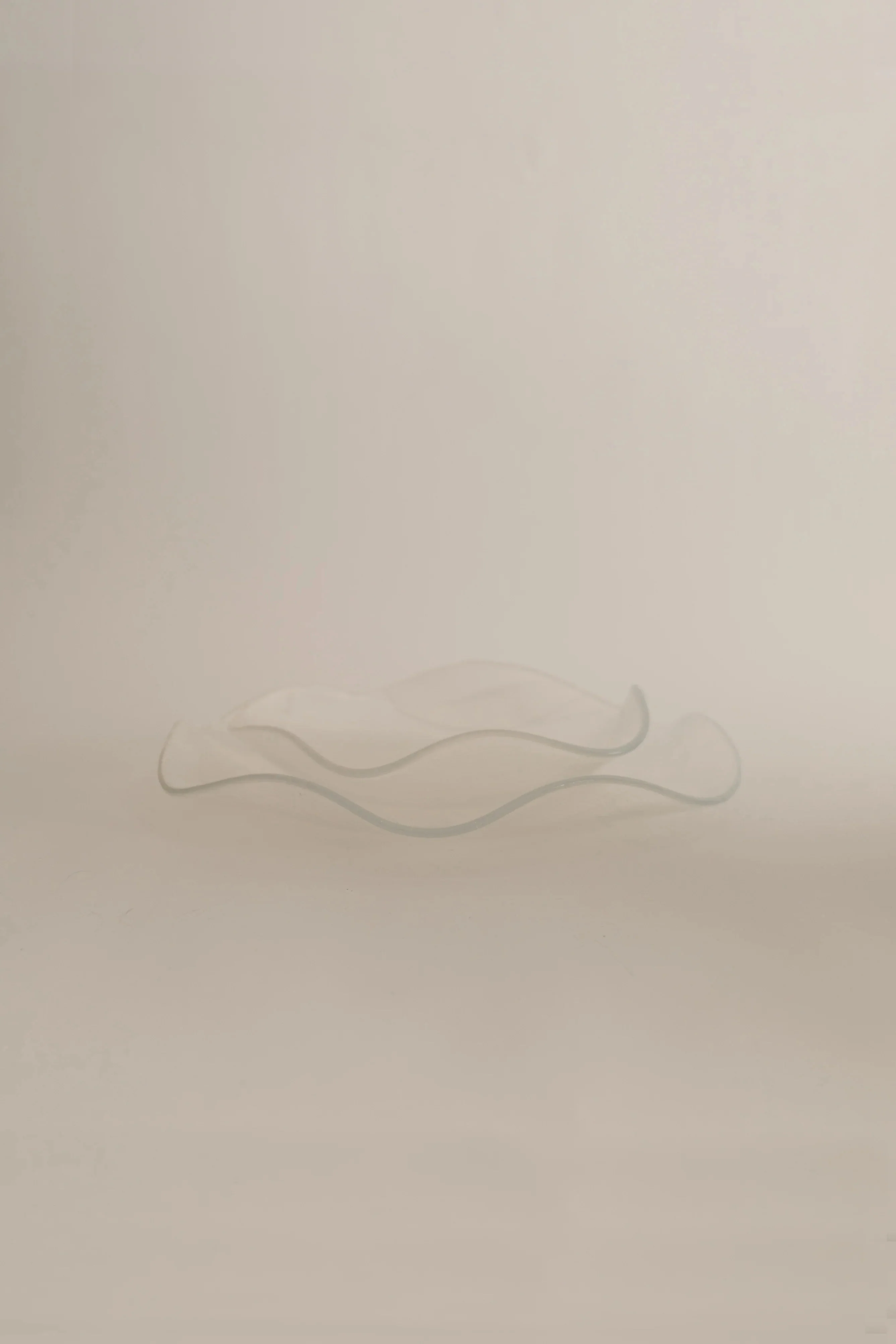 Petal Plate - Large - Image 9