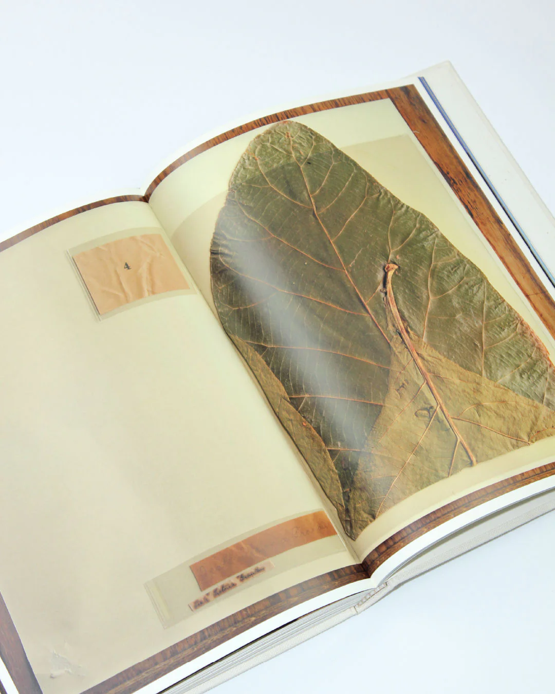 Pilgrimage by Annie Leibovitz Book - Image 3