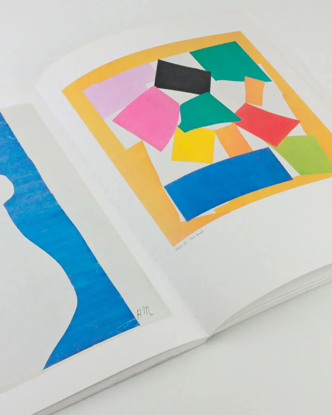 The Cut Outs of: Henri Matisse - Image 4