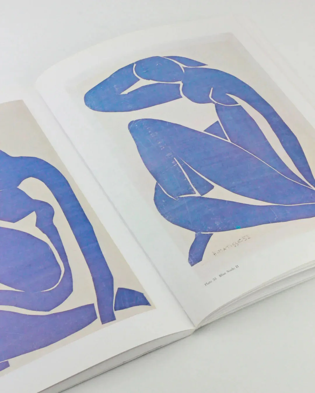 The Cut Outs of: Henri Matisse - Image 5
