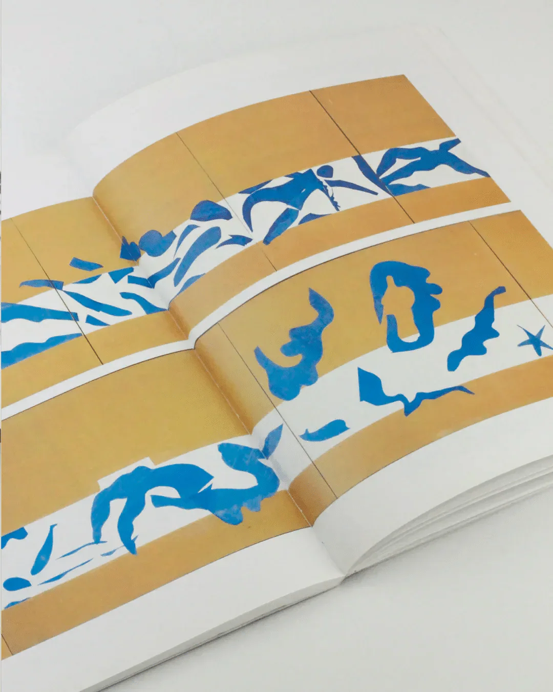 The Cut Outs of: Henri Matisse - Image 6