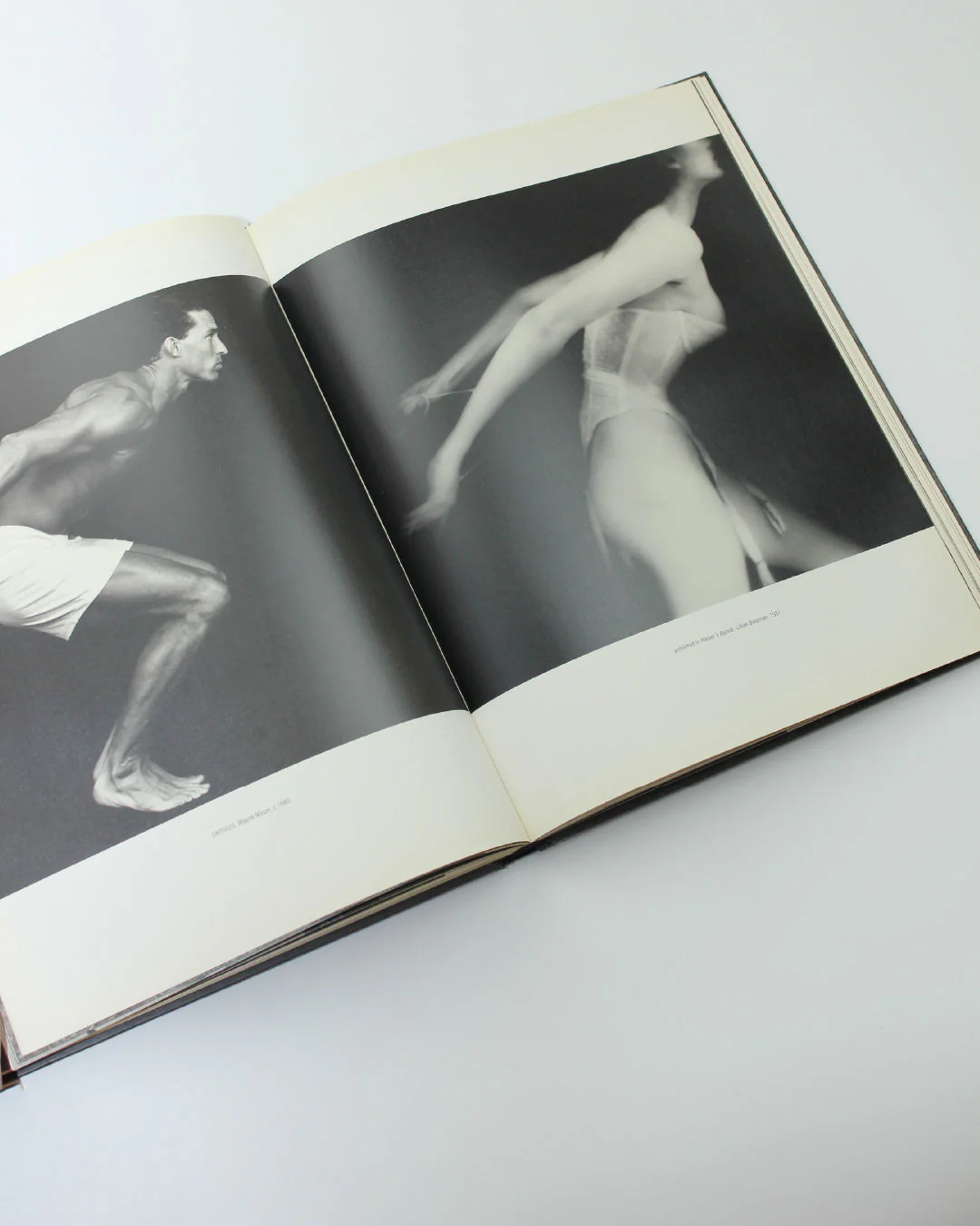 Under World by Kelly Klein Book - Image 4